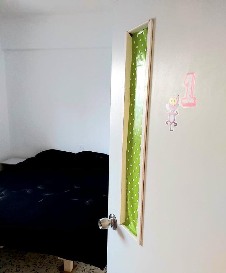 Turtle Guesthouse- طبريا المظهر الخارجي الصورة
