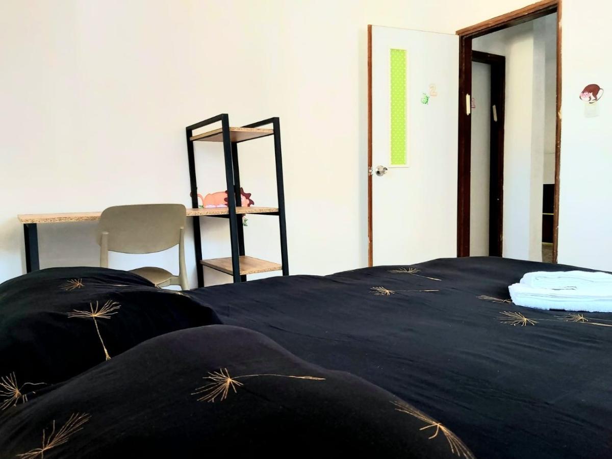 Turtle Guesthouse- طبريا المظهر الخارجي الصورة