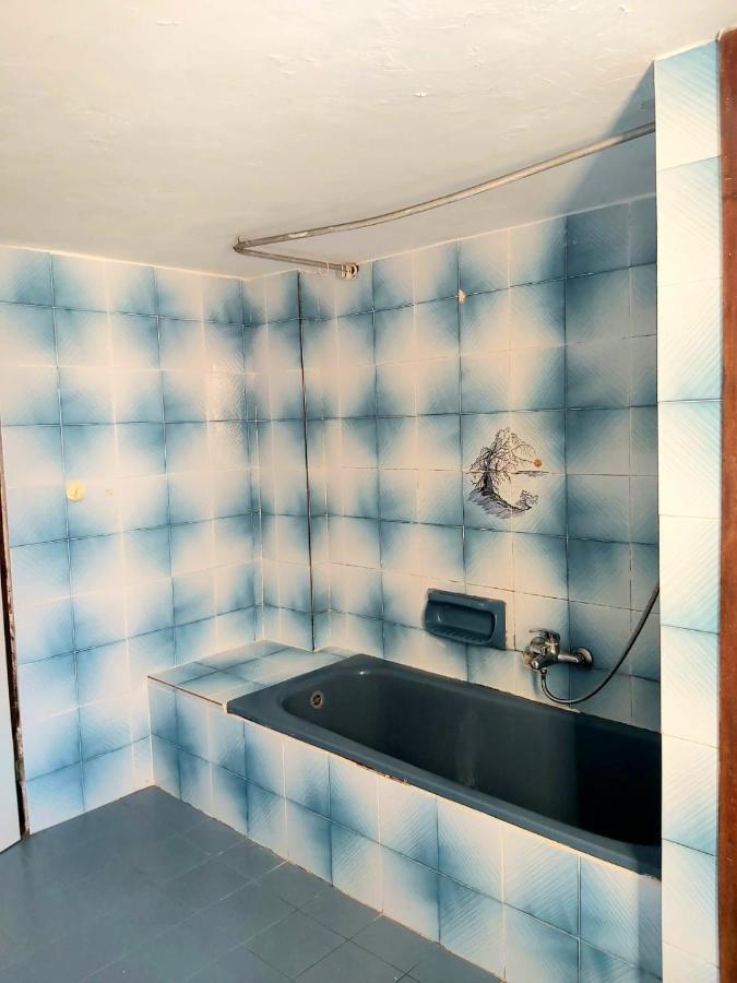 Turtle Guesthouse- طبريا المظهر الخارجي الصورة
