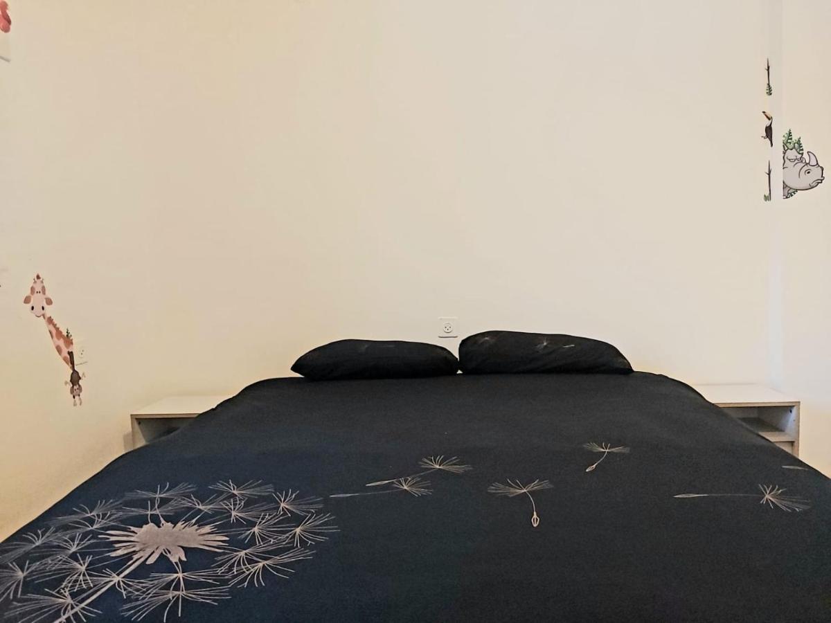 Turtle Guesthouse- طبريا المظهر الخارجي الصورة