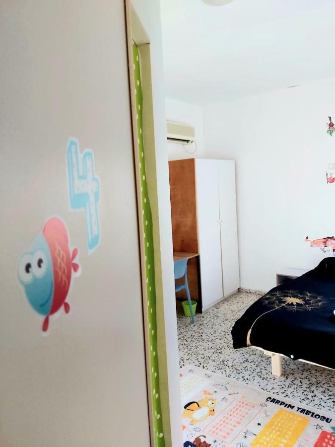 Turtle Guesthouse- طبريا المظهر الخارجي الصورة